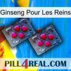 Ginseng For Kidney 14